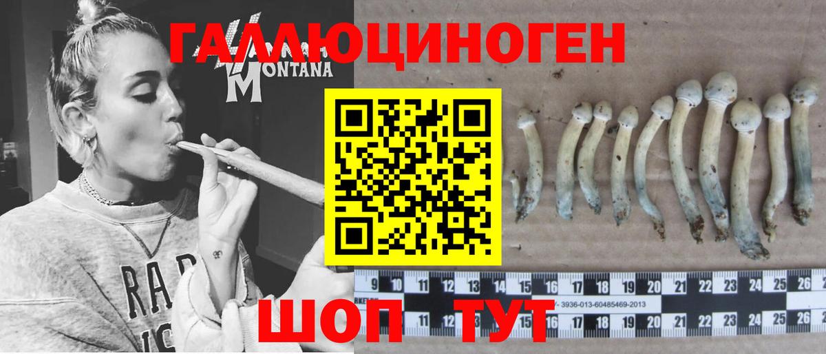 Псилоцибиновые грибы ЛСД  Вход с VPN  дарнет шоп  Псилоцибиновые грибы мухоморы  Волоколамск 